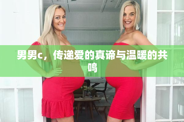 男男c，传递爱的真谛与温暖的共鸣