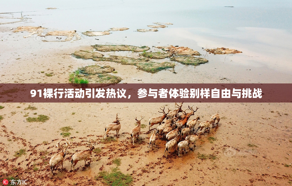 91裸行活动引发热议，参与者体验别样自由与挑战