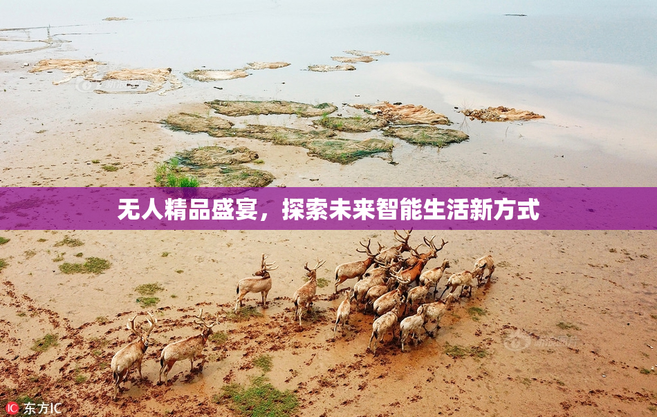 无人精品盛宴，探索未来智能生活新方式