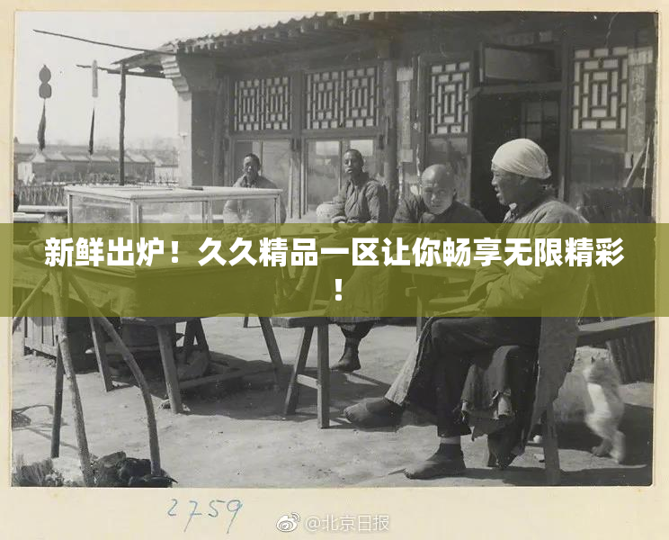 新鲜出炉！久久精品一区让你畅享无限精彩！