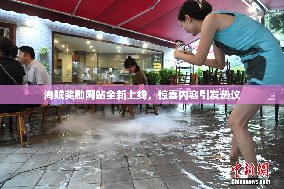 海贼奖励网站全新上线，惊喜内容引发热议