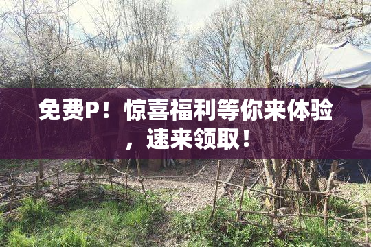 免费P！惊喜福利等你来体验，速来领取！