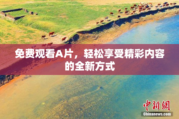 免费观看A片，轻松享受精彩内容的全新方式