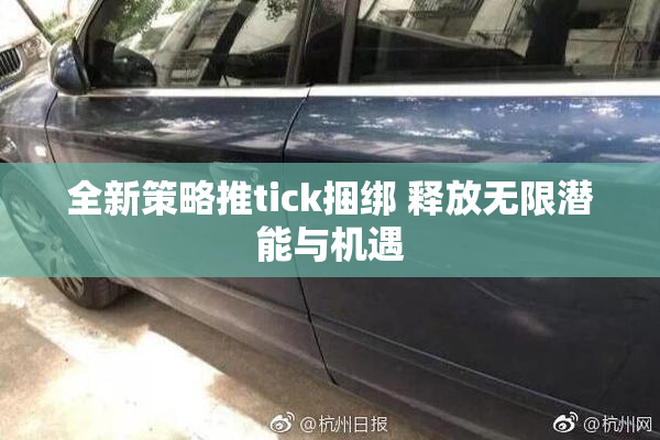 全新策略推tick捆绑 释放无限潜能与机遇