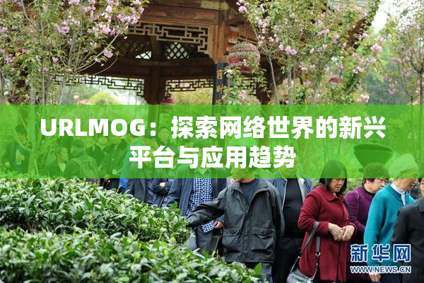 URLMOG：探索网络世界的新兴平台与应用趋势