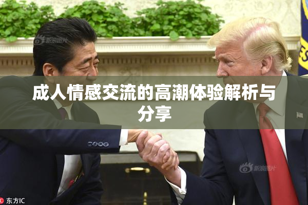 成人情感交流的高潮体验解析与分享