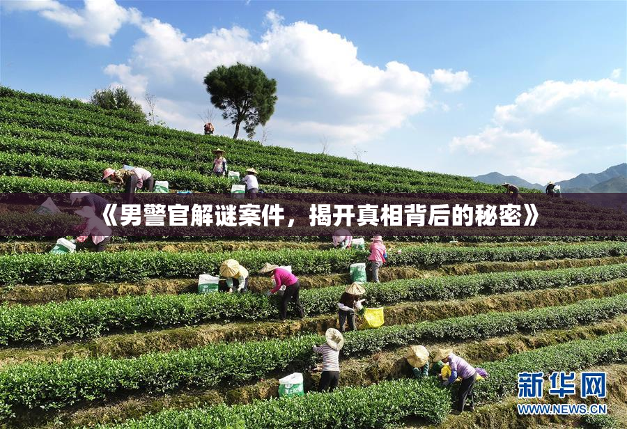 《男警官解谜案件，揭开真相背后的秘密》