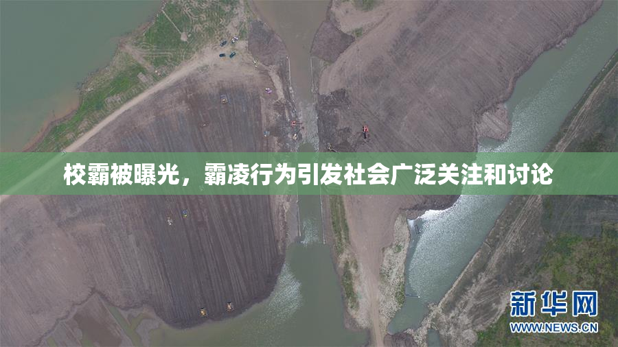 校霸被曝光，霸凌行为引发社会广泛关注和讨论