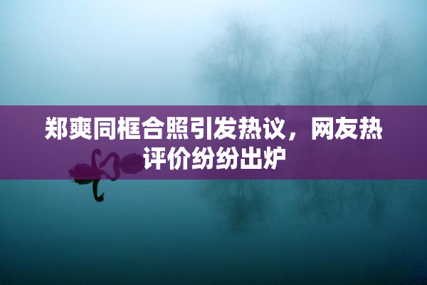 郑爽同框合照引发热议，网友热评价纷纷出炉