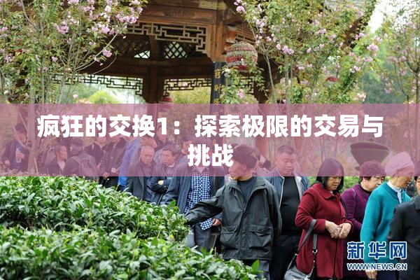 疯狂的交换1：探索极限的交易与挑战