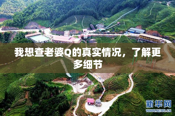 我想查老婆Q的真实情况，了解更多细节