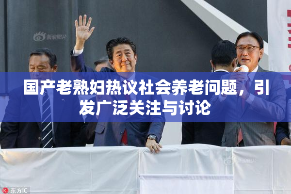 国产老熟妇热议社会养老问题，引发广泛关注与讨论