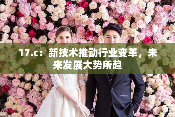 17.c：新技术推动行业变革，未来发展大势所趋