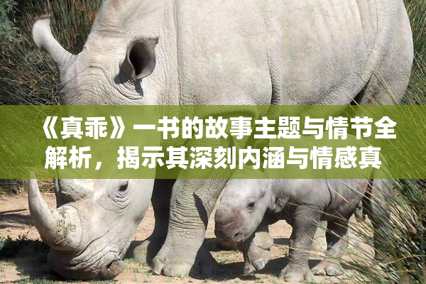 《真乖》一书的故事主题与情节全解析，揭示其深刻内涵与情感真谛。