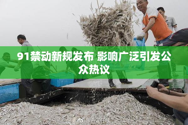 91禁动新规发布 影响广泛引发公众热议
