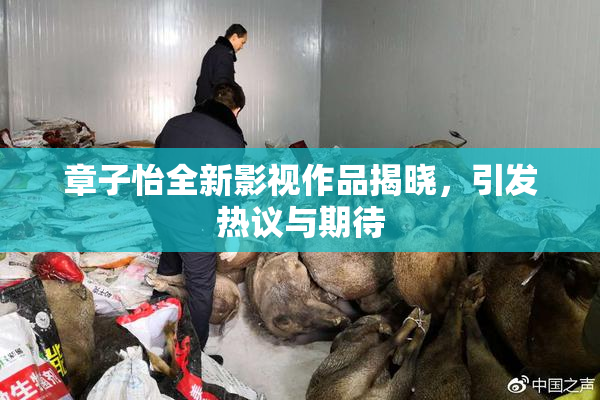 章子怡全新影视作品揭晓，引发热议与期待