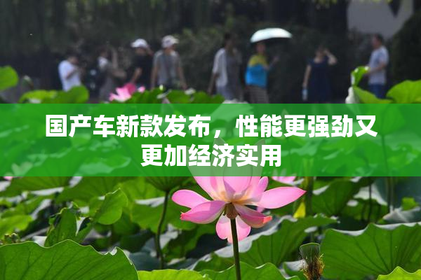 国产车新款发布，性能更强劲又更加经济实用