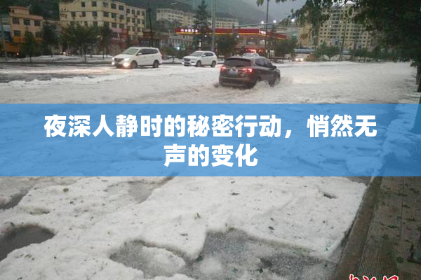 夜深人静时的秘密行动，悄然无声的变化