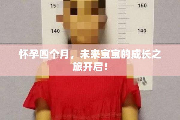 怀孕四个月，未来宝宝的成长之旅开启！