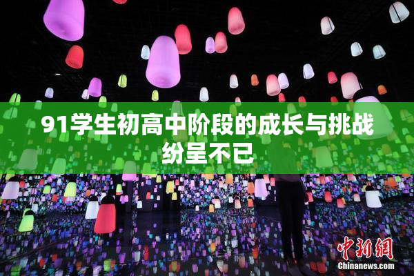 91学生初高中阶段的成长与挑战纷呈不已