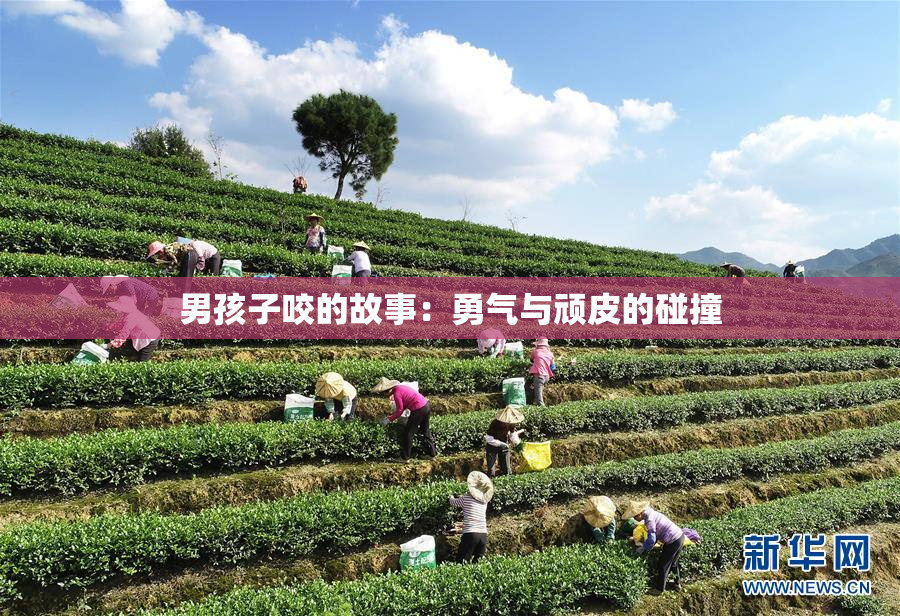 男孩子咬的故事：勇气与顽皮的碰撞