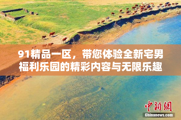 91精品一区，带您体验全新宅男福利乐园的精彩内容与无限乐趣！