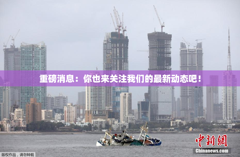重磅消息：你也来关注我们的最新动态吧！