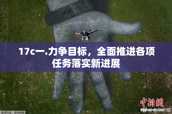 17c一.力争目标，全面推进各项任务落实新进展