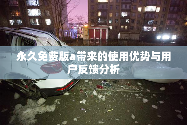 永久免费版a带来的使用优势与用户反馈分析