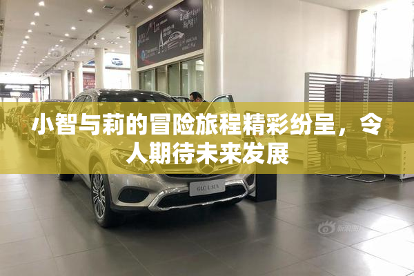 小智与莉的冒险旅程精彩纷呈，令人期待未来发展