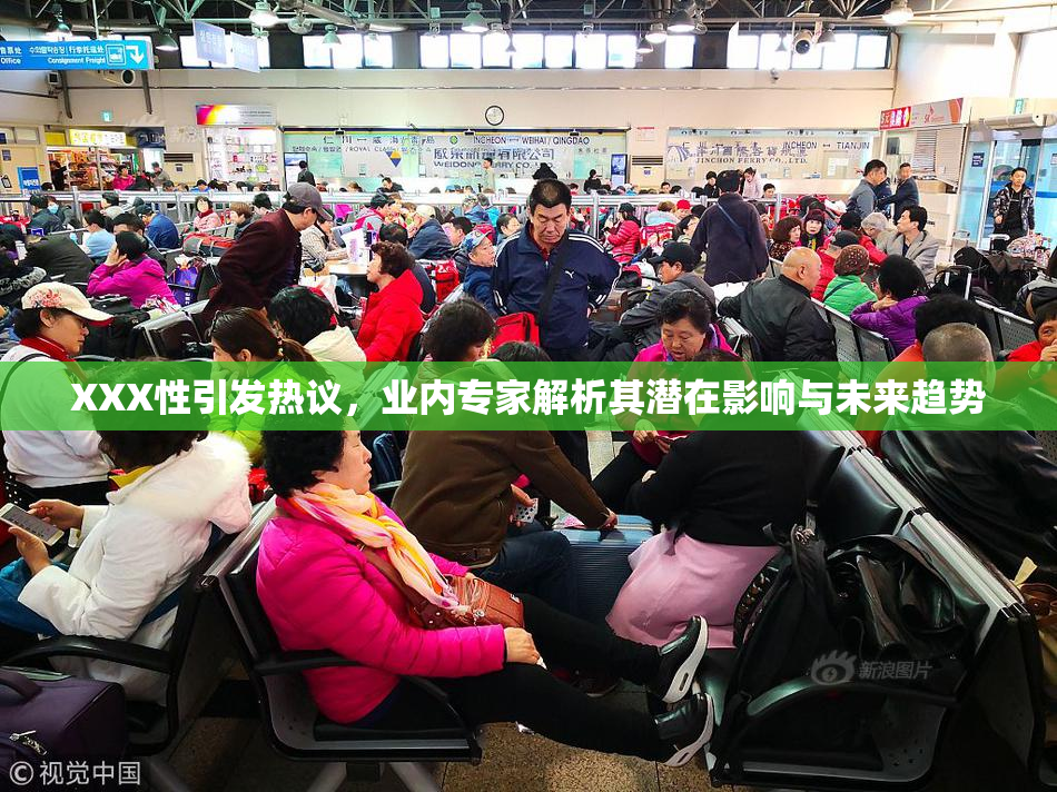 XXX性引发热议，业内专家解析其潜在影响与未来趋势
