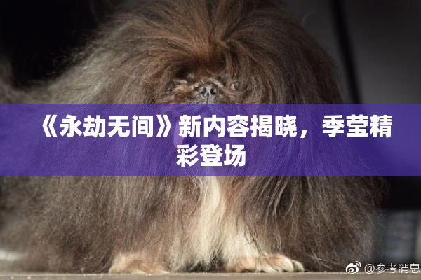 《永劫无间》新内容揭晓，季莹精彩登场