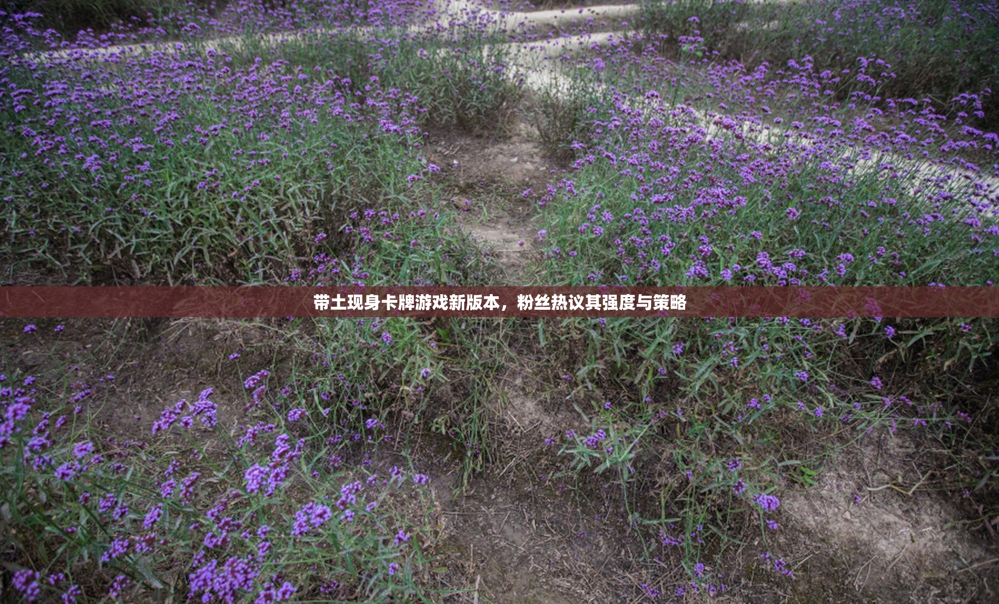 带土现身卡牌游戏新版本，粉丝热议其强度与策略