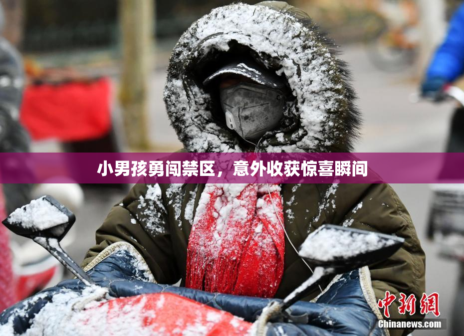 小男孩勇闯禁区，意外收获惊喜瞬间