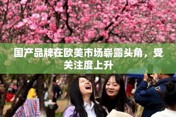 国产品牌在欧美市场崭露头角，受关注度上升