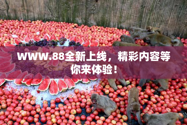 WWW.88全新上线，精彩内容等你来体验！