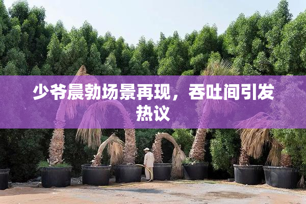 少爷晨勃场景再现，吞吐间引发热议