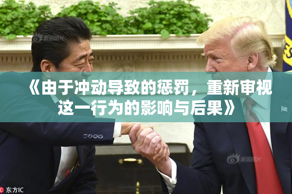 《由于冲动导致的惩罚，重新审视这一行为的影响与后果》