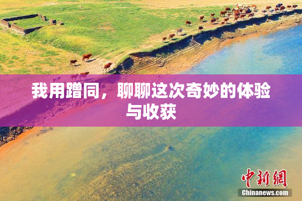 我用蹭同，聊聊这次奇妙的体验与收获