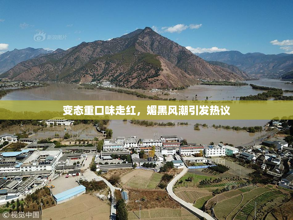 变态重口味走红，媚黑风潮引发热议