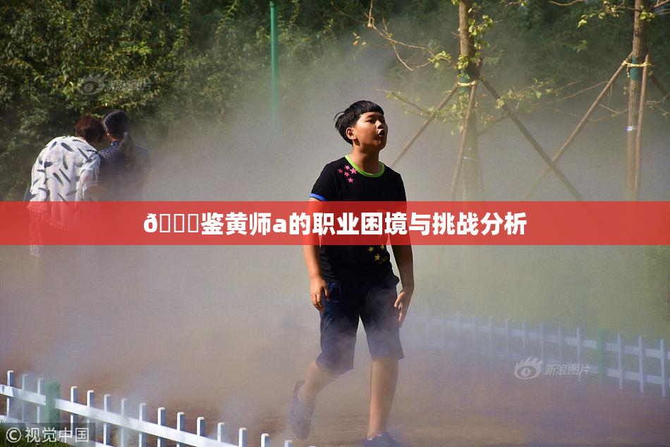 🔞鉴黄师a的职业困境与挑战分析