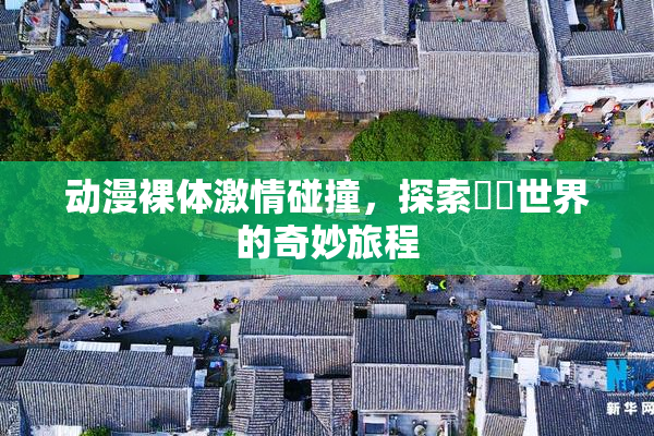 动漫裸体激情碰撞，探索❌‌世界的奇妙旅程