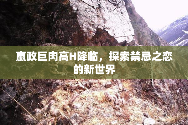 嬴政巨肉高H降临，探索禁忌之恋的新世界