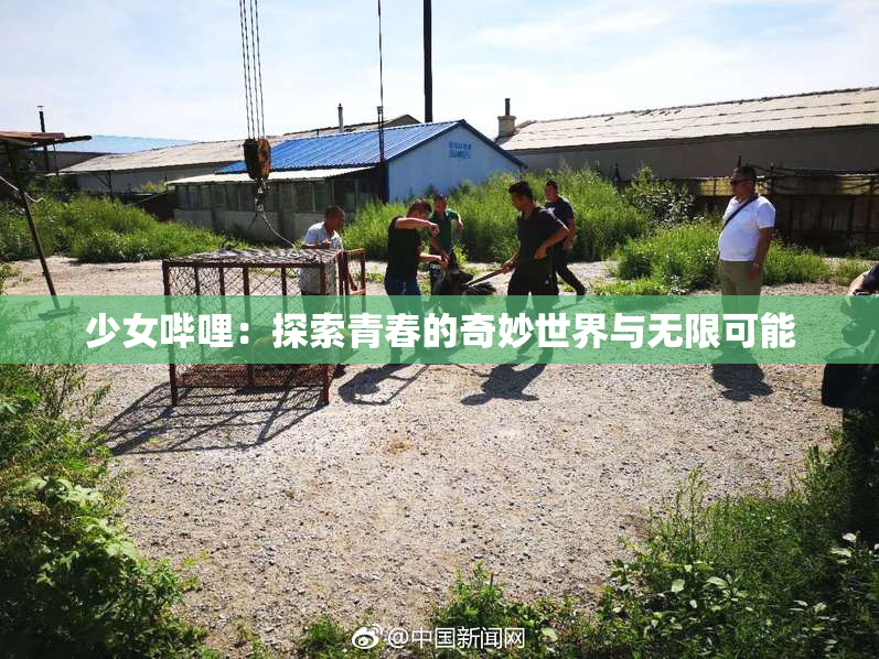 少女哔哩：探索青春的奇妙世界与无限可能