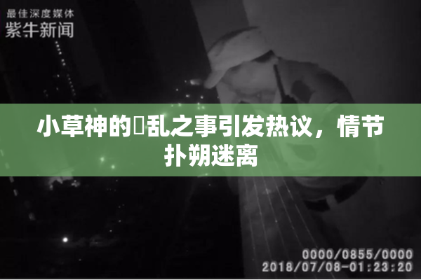 小草神的婬乱之事引发热议，情节扑朔迷离
