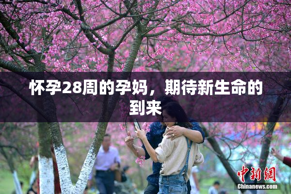 怀孕28周的孕妈，期待新生命的到来