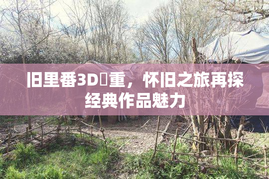 旧里番3D姉重，怀旧之旅再探经典作品魅力