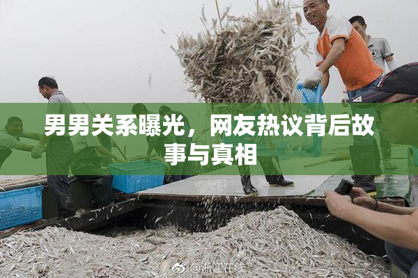 男男关系曝光，网友热议背后故事与真相