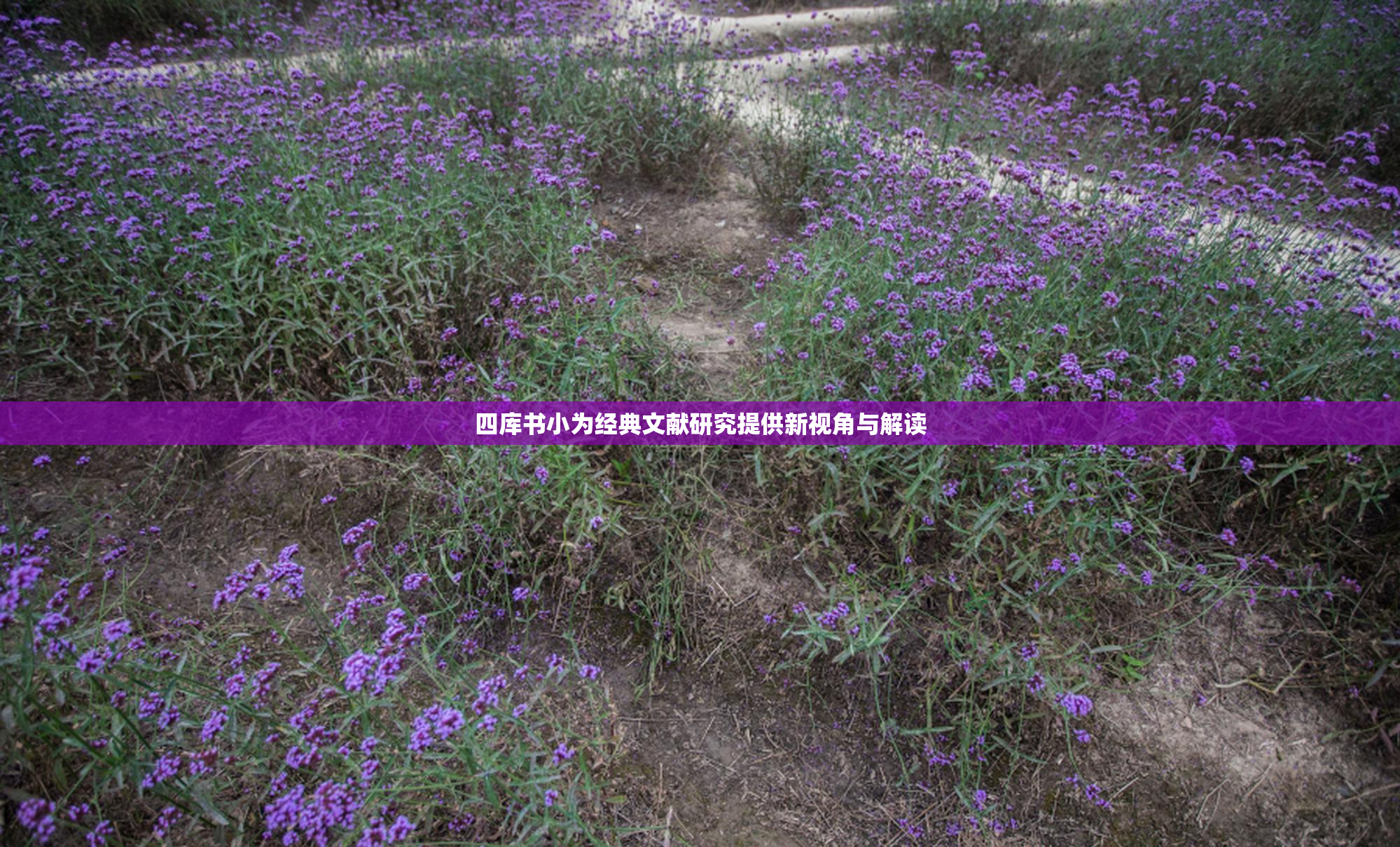 四库书小为经典文献研究提供新视角与解读
