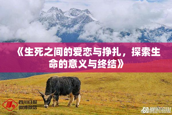 《生死之间的爱恋与挣扎，探索生命的意义与终结》